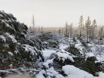 Snow covered land and trees against sky
