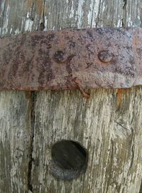 Full frame shot of wooden wall