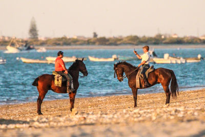 Horses riding horse