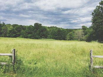 Scenic view of green landscape against sky