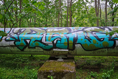 Graffiti on wall by trees in forest