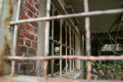 Close-up of chainlink fence