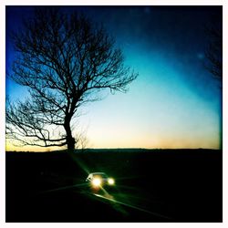 Silhouette tree against sky at sunset