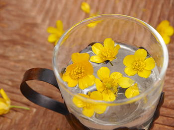 High angle view of yellow flowering plant on table