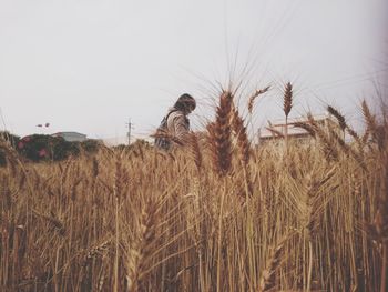 Plants growing on field