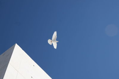 Low angle view of airplane flying against clear sky