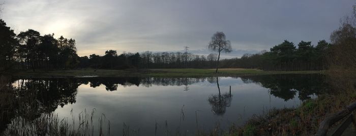 Reflection of trees in calm lake