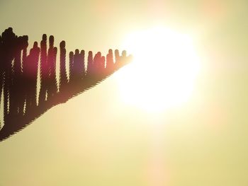 Close-up of silhouette plants against sky during sunset