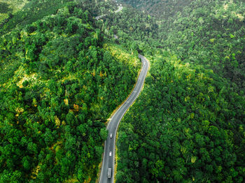 Aerial view of road amidst trees in forest