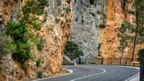 Road amidst trees and rock formation