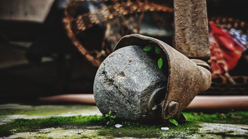 Close-up of rusty chain on field