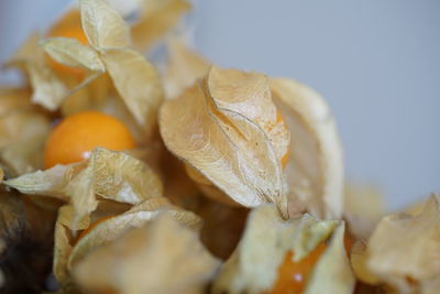 Close-up of orange fruit on table
