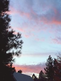 Low angle view of silhouette tree against sky during sunset