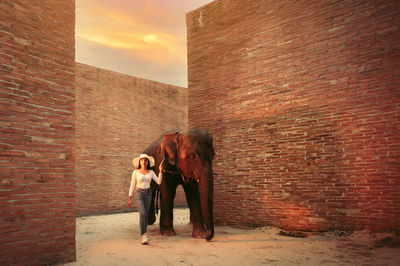 Full length of friends standing against wall