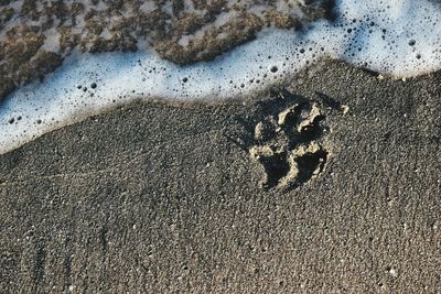 High angle view of sand on beach