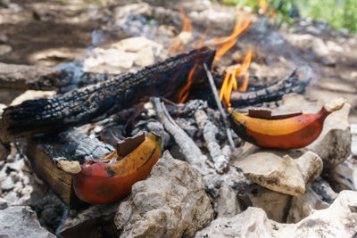 Close-up of firewood on rock