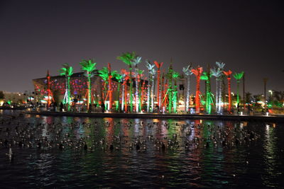 Multi colored illuminated lights against sky at night