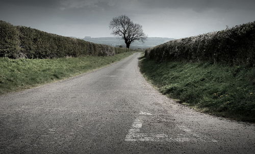 Empty road amidst trees on field against sky