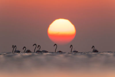 Scenic view of sunset over sea