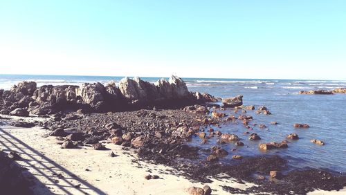 Scenic view of sea against clear blue sky