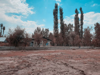 Trees and plants on field against sky