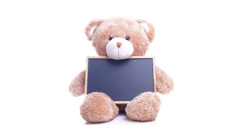 Close-up of stuffed toy against white background