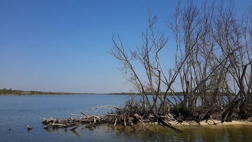 Scenic view of lake against clear blue sky
