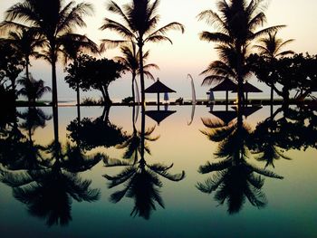 Silhouette palm trees by swimming pool against sky during sunset