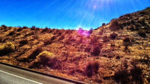 Scenic view of landscape against blue sky