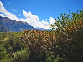 Scenic view of mountains against blue sky