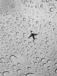 Close-up of water drops on glass