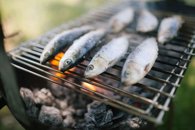 Close-up of fish on barbecue grill