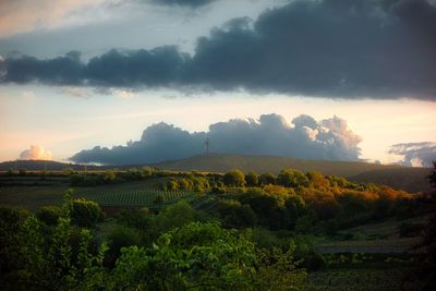 Scenic view of field against sky during sunset