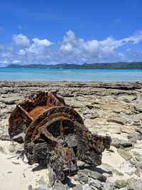 Driftwood on beach by sea against sky