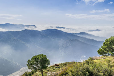 Scenic view of mountains against sky