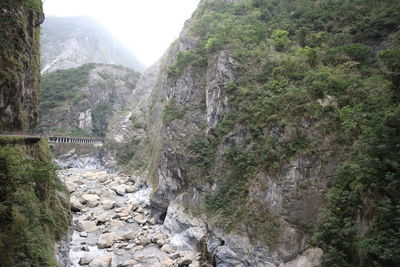 Scenic view of waterfall in forest