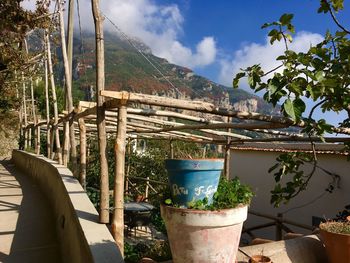 Potted plants in greenhouse against sky
