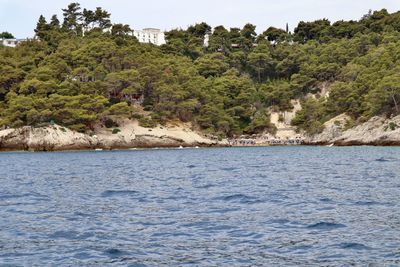 Scenic view of sea against trees in forest