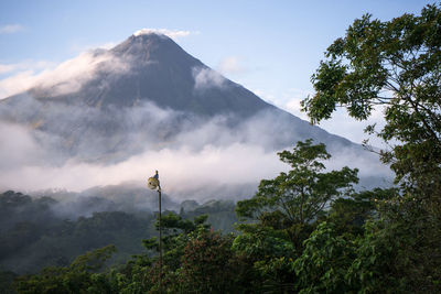 Low angle view of trees and mountains against sky