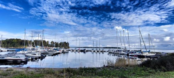 Sailboats moored at harbor