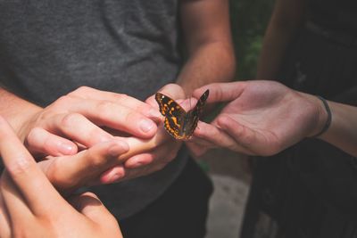 Close-up of woman holding hands