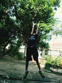 Rear view of man jumping on tree