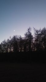 Silhouette trees against sky during sunset