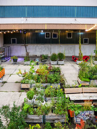 High angle view of potted plants on building