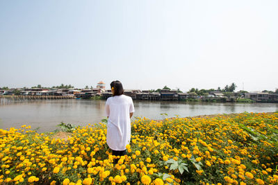 Rear view of woman standing amidst marigolds by river against clear sky