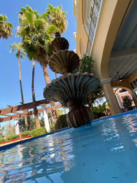 Palm trees by swimming pool against building