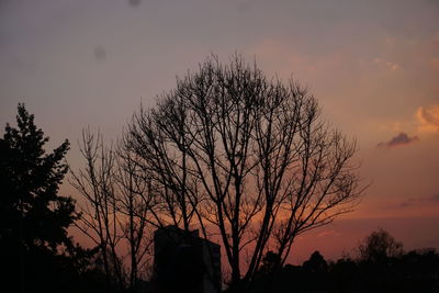 Low angle view of silhouette trees against sky at sunset