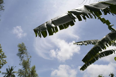 Low angle view of traditional windmill against sky