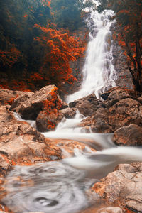 Scenic view of waterfall