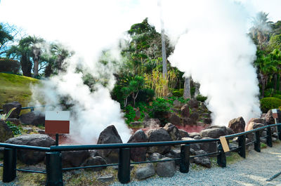 Smoke emitting from hot springs against trees